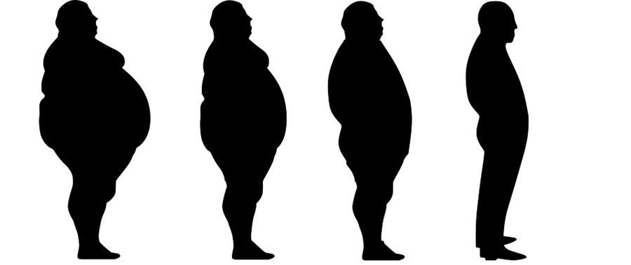 Confronto tra diete dimagranti con diversa composizione di grassi, proteine e carboidrati