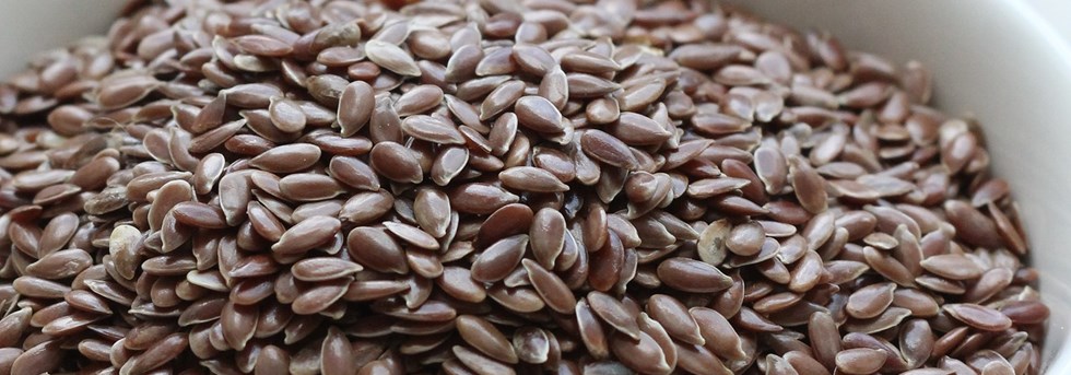 Olio di semi di lino: le sai proprio tutte?