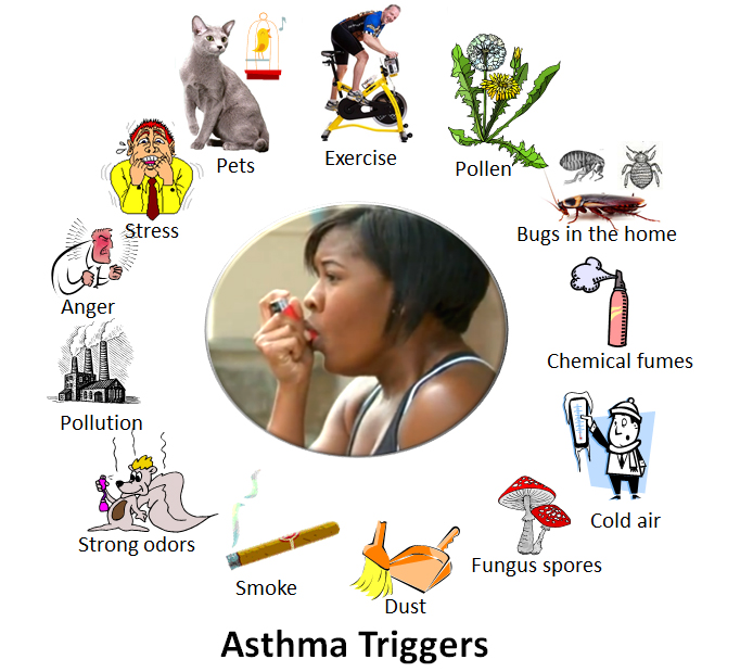 “Choosing wisely” in allergologia: approccio “Slow Medicine” a questa disciplina promosso dalla Società Italiana di Allergologia, Asma ed Immunologia Clinica (SIAAIC)