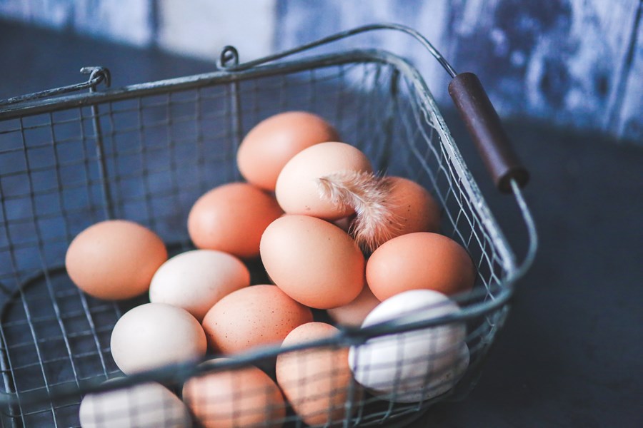 Consumo di uova ed effetti sulla salute: una umbrella review di studi osservazionali