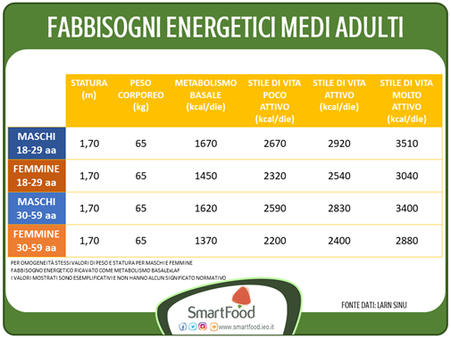 metabolismo - fabbisogni energetici adulti