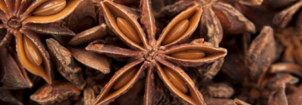 Biojoy Anice Stellato Intero Biologico (500 G), Tè All'anice, Per - Foto 6